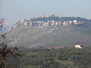 fara sabina