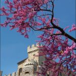 castello di nerola