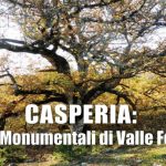 cerro valle ferrara casperia