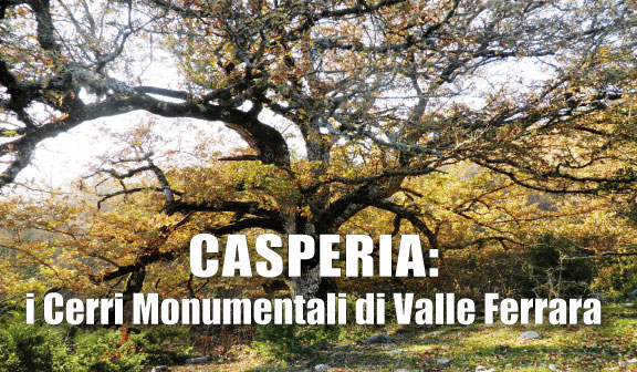 cerro valle ferrara casperia