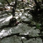 rocca tancia